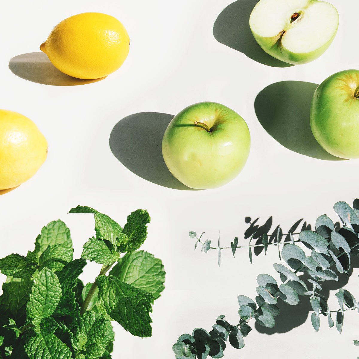 image of lemons, granny smith apples, a bunch or mint and a branch of eucalyptus. Each item represents a scent from our cleaning range  